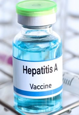 vaksin hepatitis a dewasa